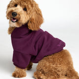 You Matter Paw Hoodie