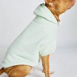 Pastel Paw Hoodie - Pre Order