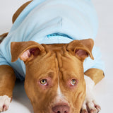 Pastel Paw Hoodie
