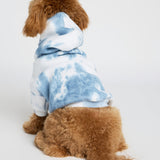 Minimalist Paw Hoodie - Pre-Order