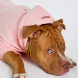 Pastel Paw Hoodie - Pre Order