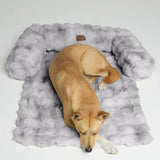 Dream Cloud Pet Sofa Bed - Pre Order
