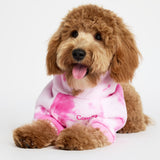 Minimalist Paw Hoodie - Pre-Order