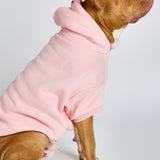 Pastel Paw Hoodie