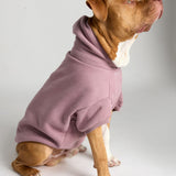 You Matter Paw Hoodie