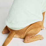 Pastel Paw Hoodie - Pre Order