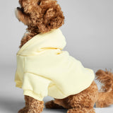 Minimalist Paw Hoodie