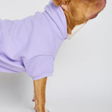 Pastel Paw Hoodie - Pre Order