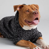 Minimalist Paw Hoodie