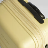 Carry-On Companion Luggage