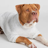 Minimalist Paw Hoodie