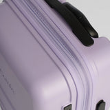 Carry-On Companion Luggage