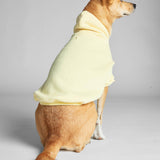 Minimalist Paw Hoodie