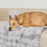 Dream Cloud Pet Sofa Bed - Pre Order