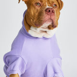 Pastel Paw Hoodie