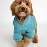 You Matter Paw Hoodie