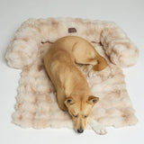Dream Cloud Pet Sofa Bed - Pre Order