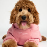 You Matter Paw Hoodie