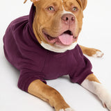 You Matter Paw Hoodie