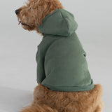 Standard Paw Hoodie