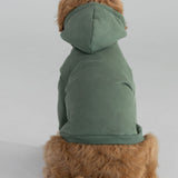 Standard Paw Hoodie