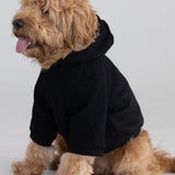 Tranquil Paw Hoodie