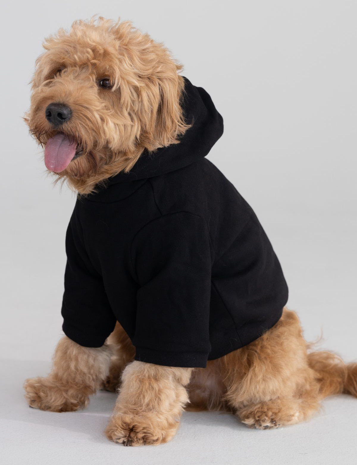 Tranquil Paw Hoodie