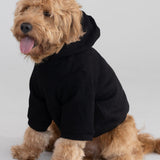 Tranquil Paw Hoodie