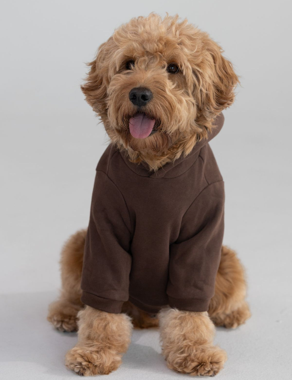 Standard Paw Hoodie
