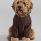 Standard Paw Hoodie
