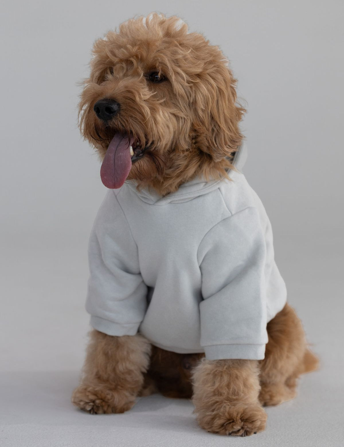 Standard Paw Hoodie