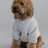 Standard Paw Hoodie