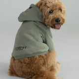 Coordinate Paw Hoodie