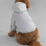 Standard Paw Hoodie