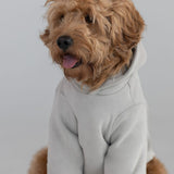 Coordinate Paw Hoodie
