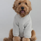 Coordinate Paw Hoodie
