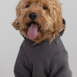 Tranquil Paw Hoodie