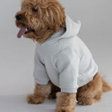 Standard Paw Hoodie
