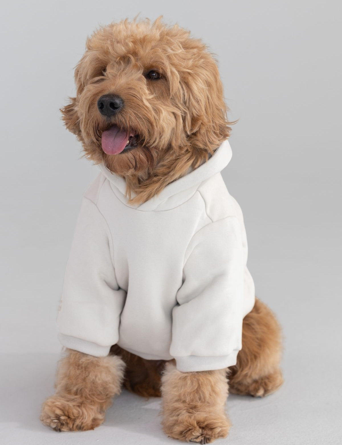 Tranquil Paw Hoodie