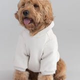 Tranquil Paw Hoodie