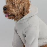 Coordinate Paw Hoodie