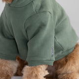 Standard Paw Hoodie