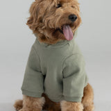 Coordinate Paw Hoodie