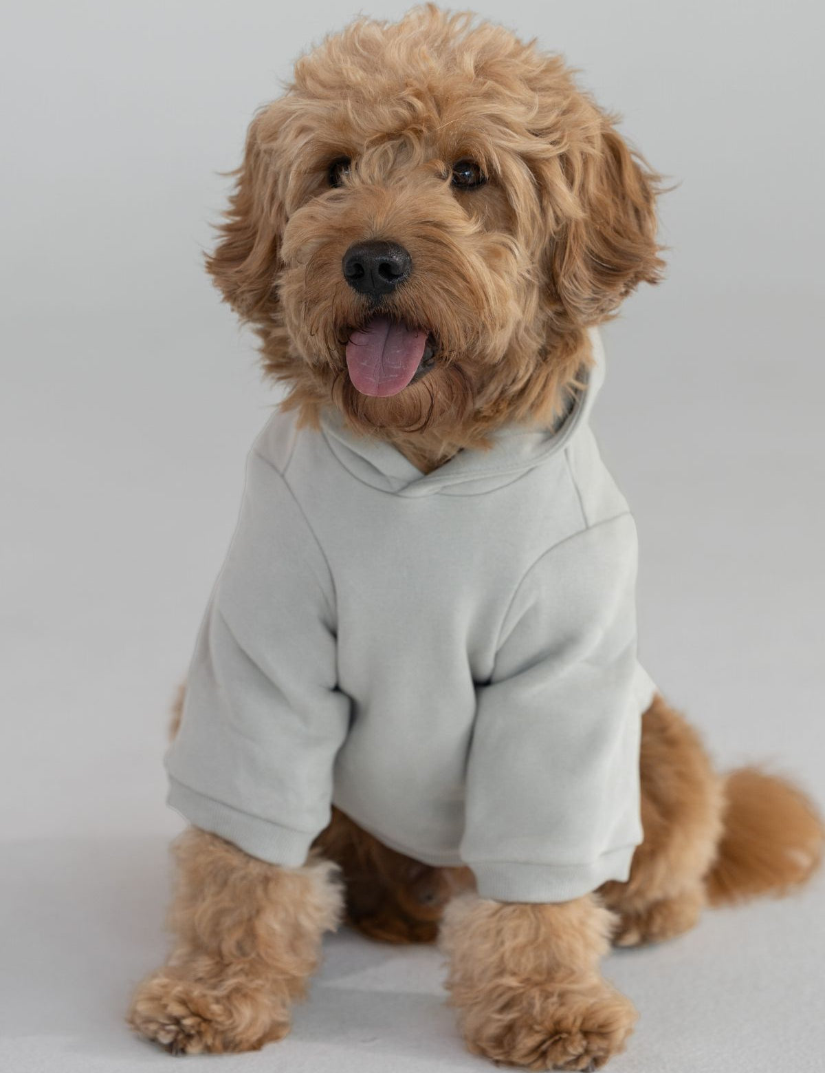 Tranquil Paw Hoodie