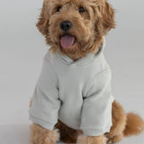 Tranquil Paw Hoodie