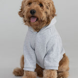 Coordinate Paw Hoodie