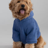 Standard Paw Hoodie