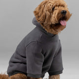 Signature Paw Hoodie -Pre Order