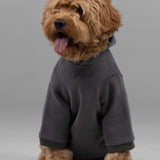 Signature Paw Hoodie -Pre Order