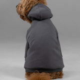 Signature Paw Hoodie -Pre Order